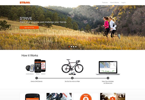 12websites-ux-ui-design
