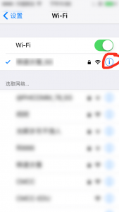 WiFi1-1-169x300